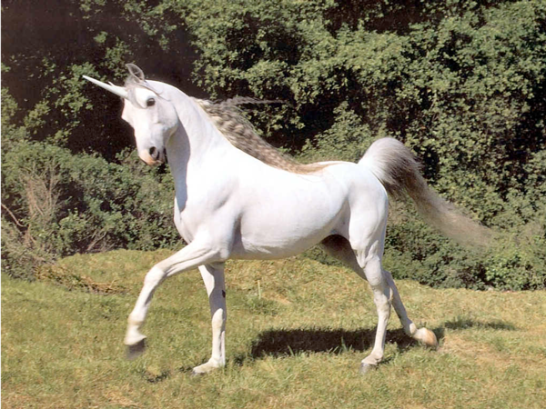 Myths full